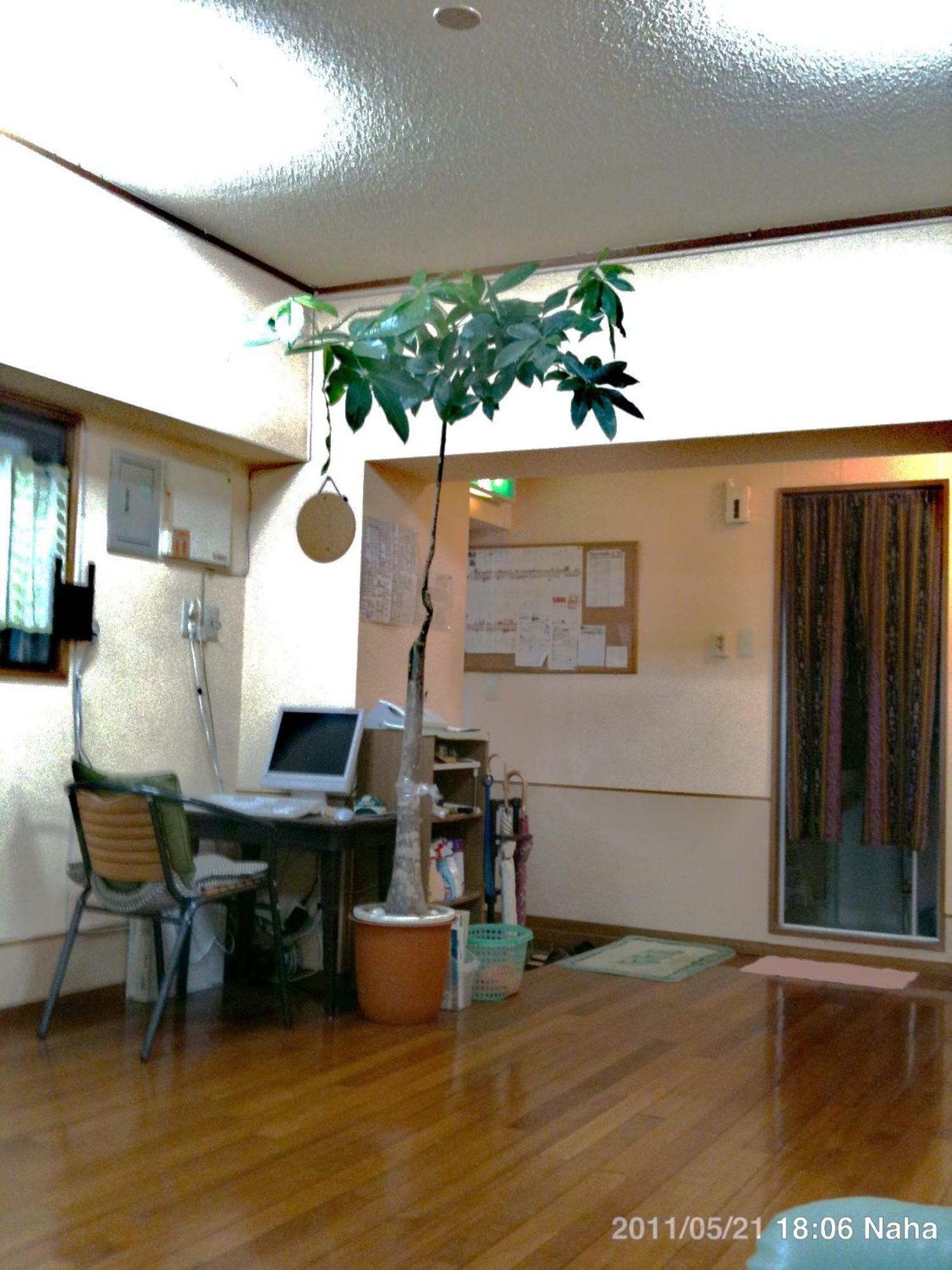 Hostel Hakuseiso Naha Exterior foto